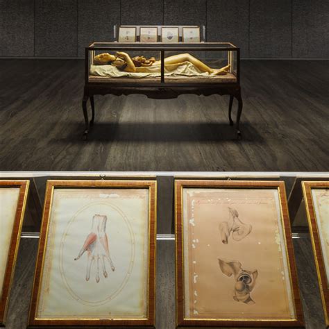 cere anatomiche prada|Cere anatomiche, Florence's La Specola comes to Fondazione .